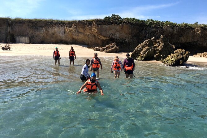 Half-Day Tour to Marietas Islands, Playa Nopalera by Speedboat - What this Marietas Islands trip is really about
