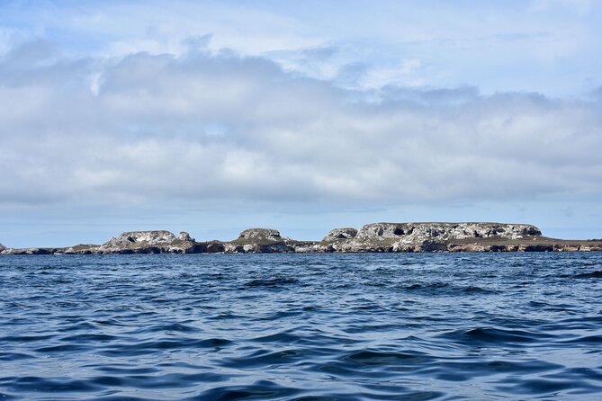 Half-Day Tour to Marietas Islands, Playa Nopalera by Speedboat - Lunch, drinks, and the ride home