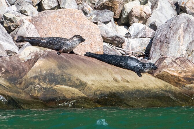 Hardangerfjord Ultimate RIB adventure from Ulvik - Why a RIB is a good way to see Hardangerfjord