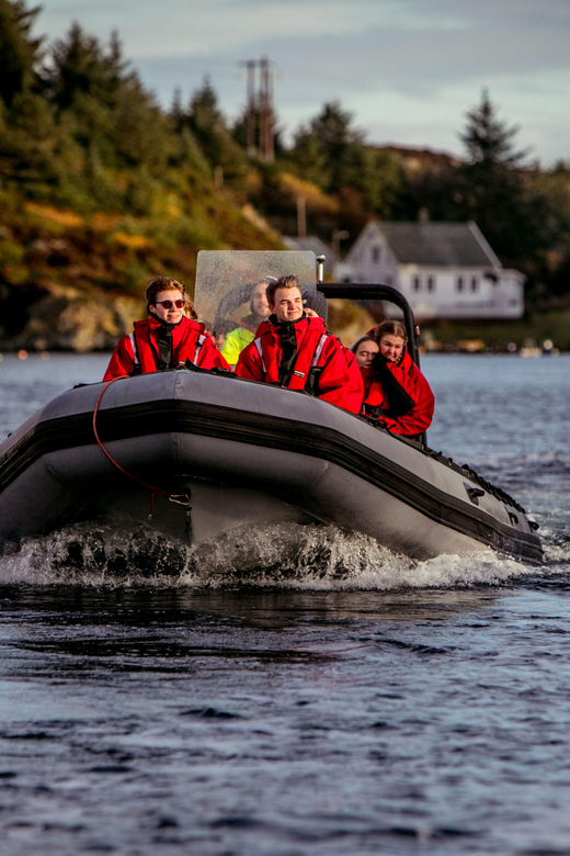 Haugesund: RIB Safari to the island communities - Key points to know before you book