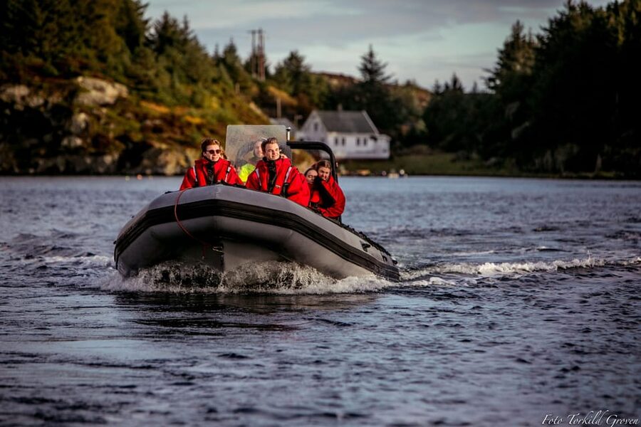 Haugesund: RIB Safari to the island communities - Feøy and the small island communities