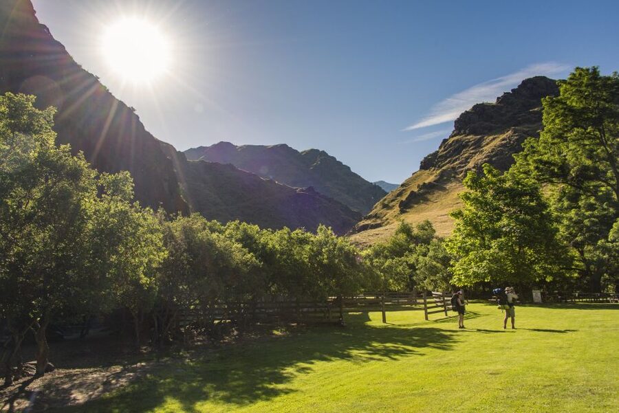 Hells Canyon: Yellow Jet Boat Tour to Kirkwood, Snake River - Lunch at Sheep Creek or Kirkwood Historic Ranch