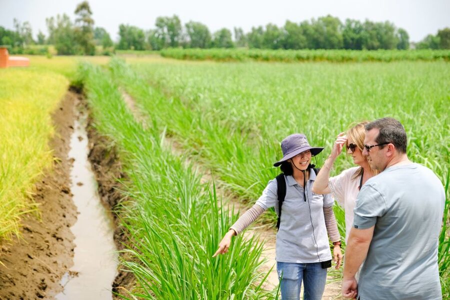 Ho Chi Minh City: Mekong Delta Full-Day Speedboat Tour - A lunch worth planning around