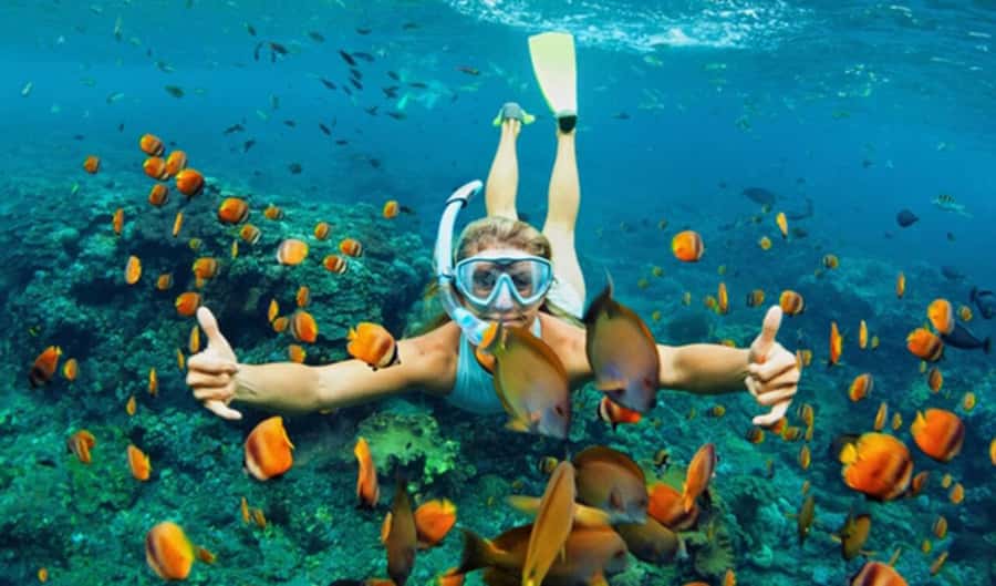 Hoi An: Cham Islands Snorkeling Trip by Speedboat with Lunch - From Hoi An to Cua Dai Wharf