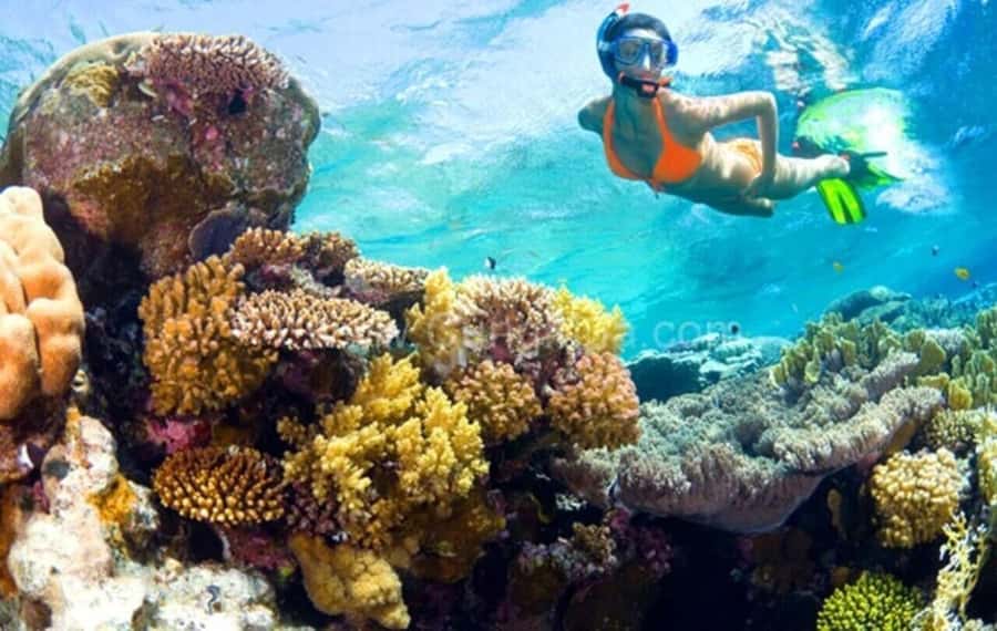 Hoi An: Cham Islands Snorkeling Trip by Speedboat with Lunch - Snorkeling at Bãi Xếp or Hòn Tai