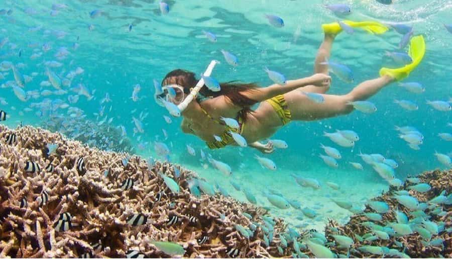 Hoi An: Cham Islands Snorkeling Trip by Speedboat with Lunch - A short look at island life