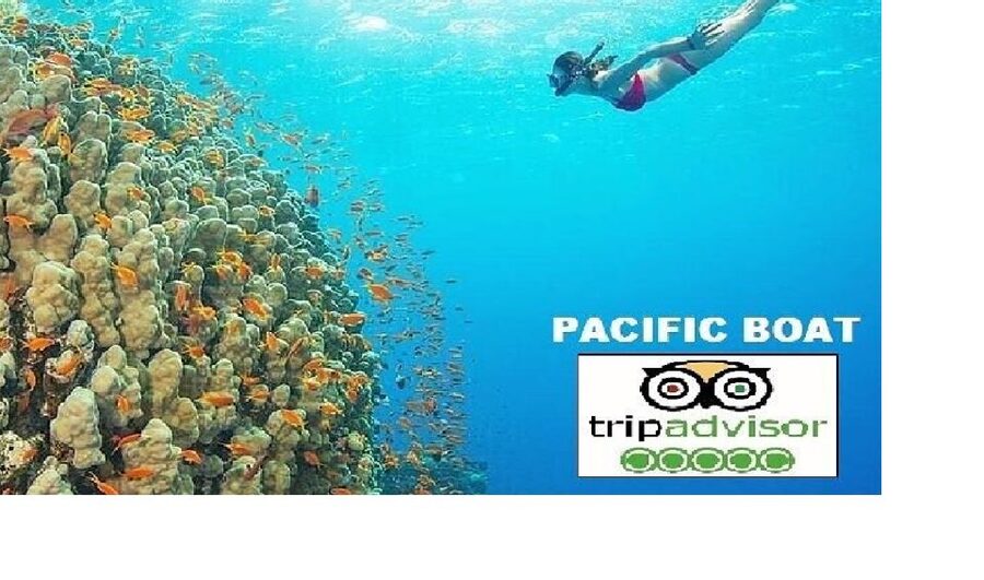 Hoi An/Da Nang: Snorkelling & Island-Hopping Speedboat Tour - Why this Cham Islands tour is different