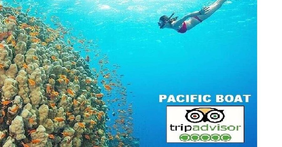 Hoi An/Da Nang: Snorkelling & Island-Hopping Speedboat Tour - Dai Island brings the first hour in the water