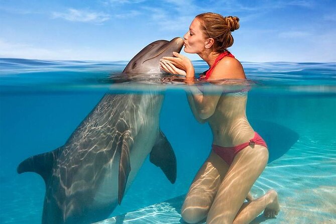 Hurghada: Private 4 Hours Speedboat Dolphin House Snorkling Tour - Choosing between three Red Sea stops