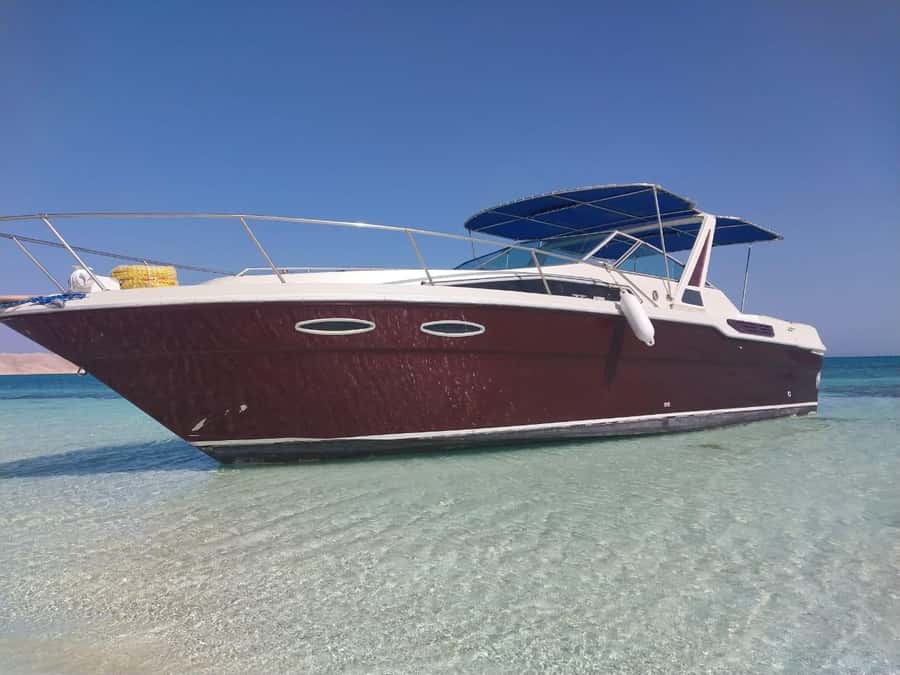 Hurghada: Private Luxury Speedboat W Snorkelling & Fruits - Getting from your hotel to the marina