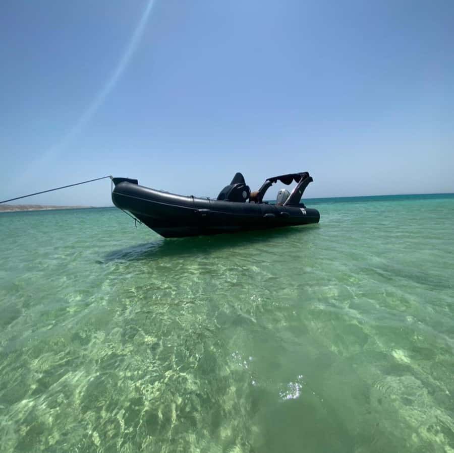 Hurghada: Private Speedboat to Dolphin House with Pickup - Snorkeling the reefs, fish, and shipwreck