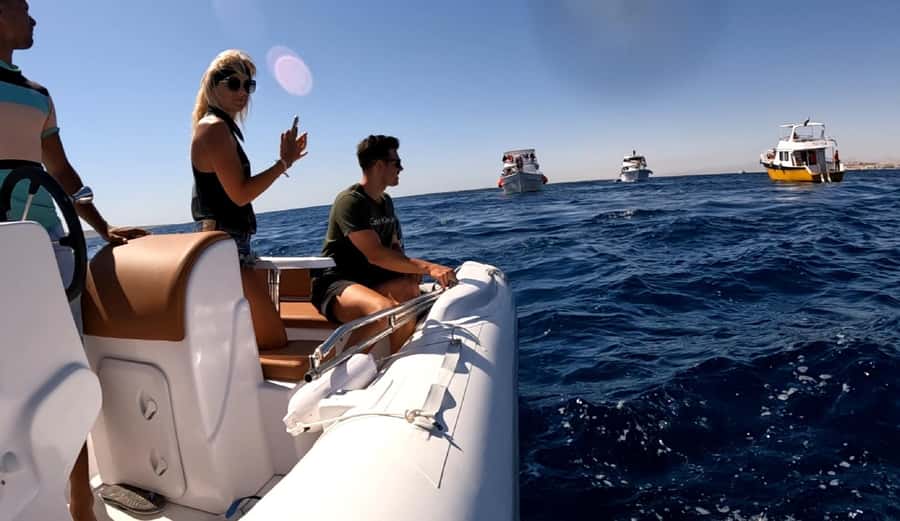 Hurghada: Private Speedboat to Dolphin House with Pickup - Is the $212 group price good value?