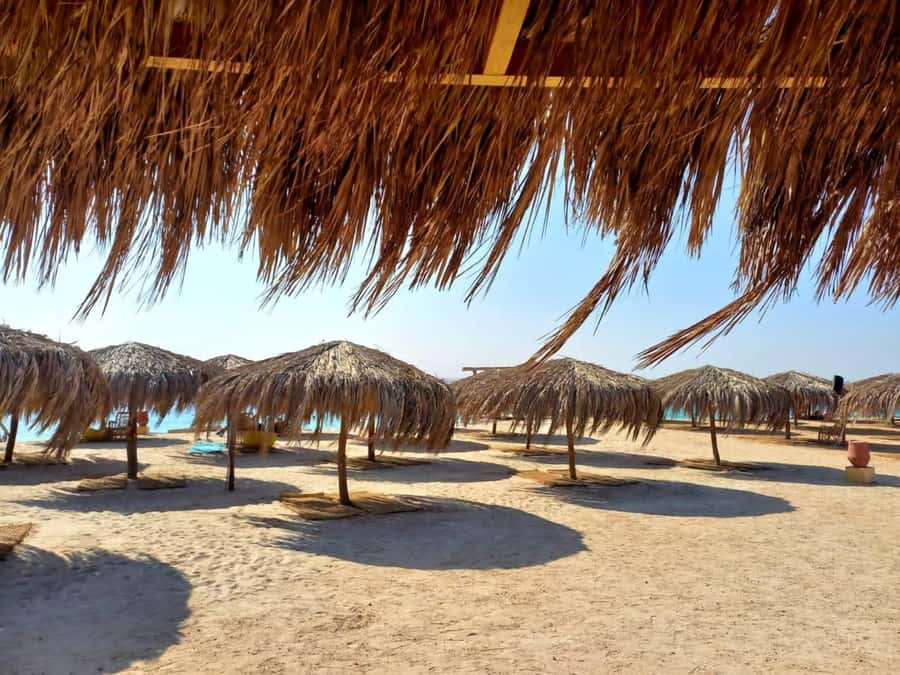 Hurghada: Private Speedboat to Magawish Island - Key points to know before booking