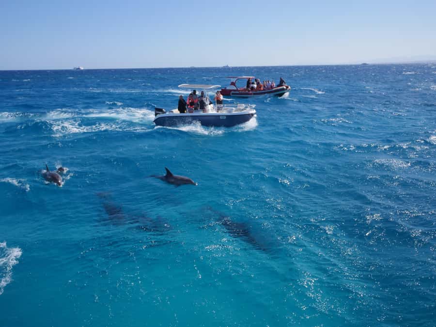 Hurghada: Private Speedboat to Orange Bay and White Island - When this tour offers good value