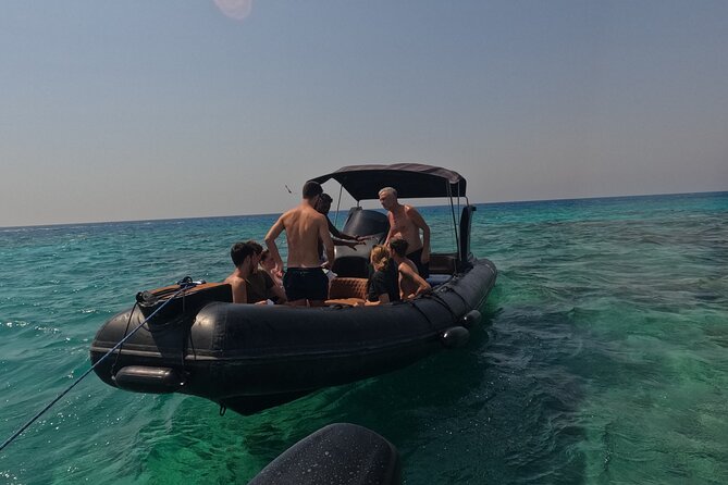 Hurghada Speedboat Dolphin Watching and Snorkeling - Who will enjoy this four-hour outing