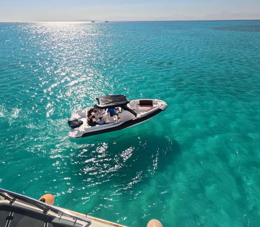 Hurghada: Speedboat Dolphin Watching & Snorkeling with Lunch - Key points to know before booking