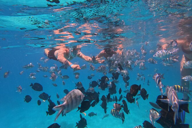 Hurghada Speedboat Trip to Orange Bay and Magawish Islands - Orange Bay: one hour of sand, water, and music