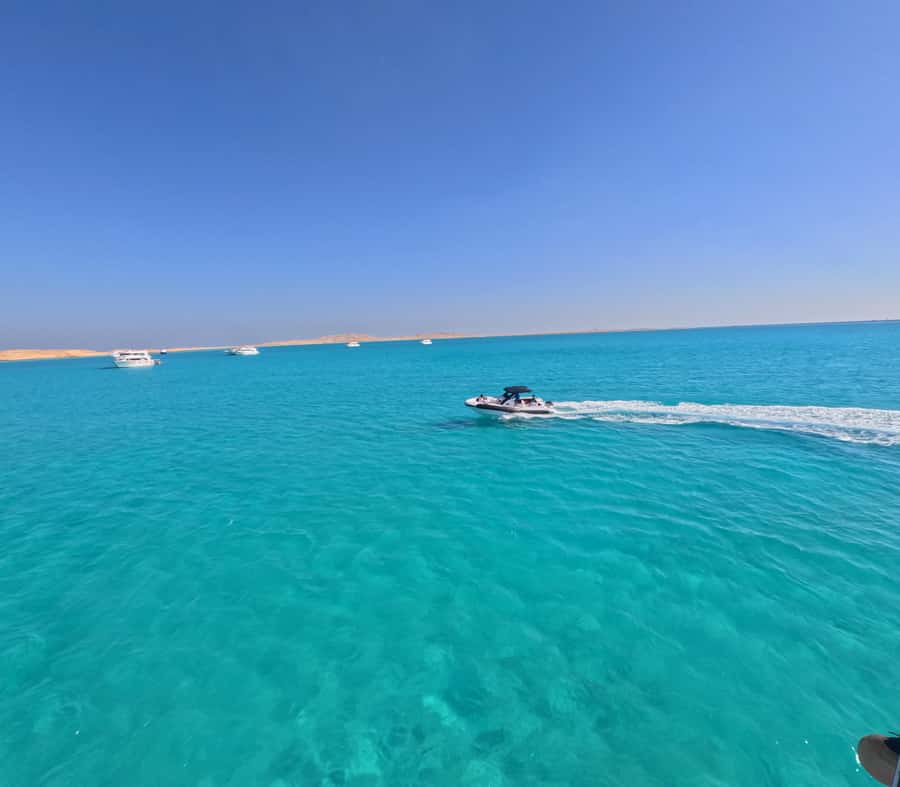 Hurghada: Turtle Bay Speedboat Tour with Snorkeling - Pickup requires more planning than the boat ride