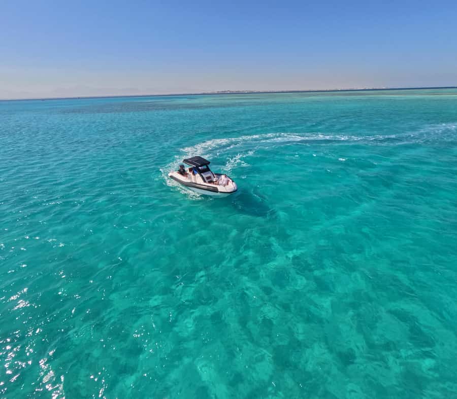 Hurghada: Turtle Bay Speedboat Tour with Snorkeling - Who will enjoy this tour most?
