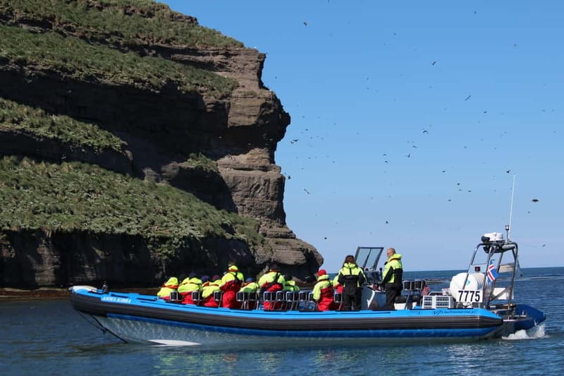 Húsavík: Original Big Whale Safari & Puffins by Speedboat - Who should choose this tour?