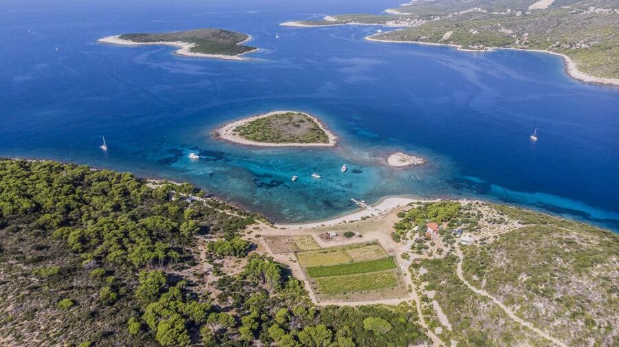 Hvar: Blue Cave, Green Cave & Stiniva Beach Speed Boat Tour - Swimming and snorkeling at the Blue Lagoon
