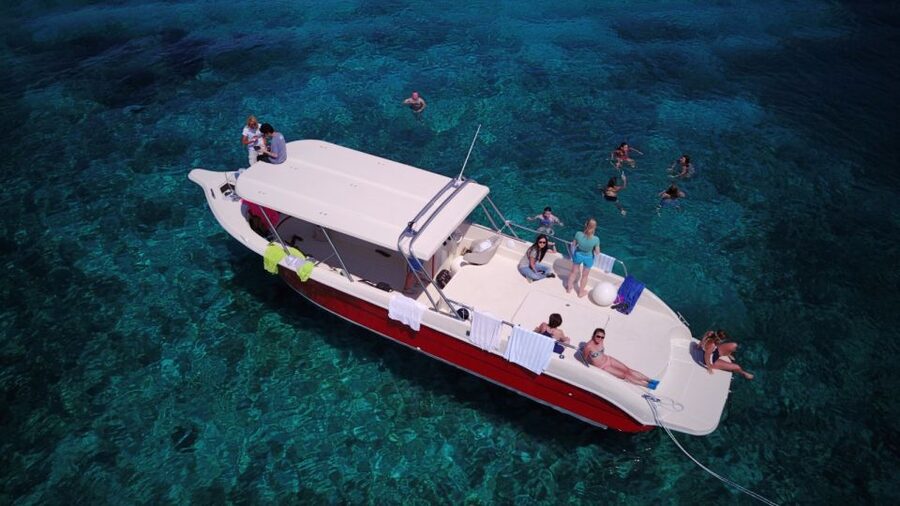 Hvar: Private Blue Cave and Vis Speedboat Tour - Budikovac Blue Lagoon is made for a swim