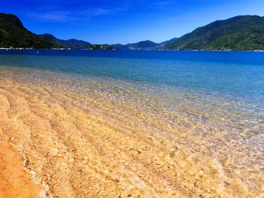 Idyllic Islands Private Speedboat Tour in Paraty - Is the Paraty speedboat tour worth booking?