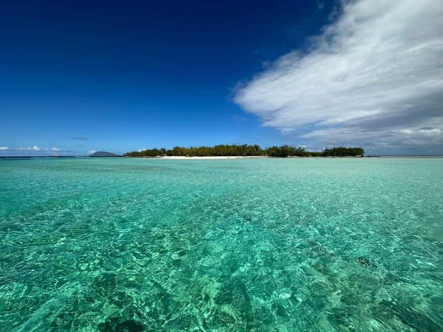 Ile aux Cerfs: Island & Waterfall Speedboat Tour with Lunch - Swimming, snorkeling, and free time