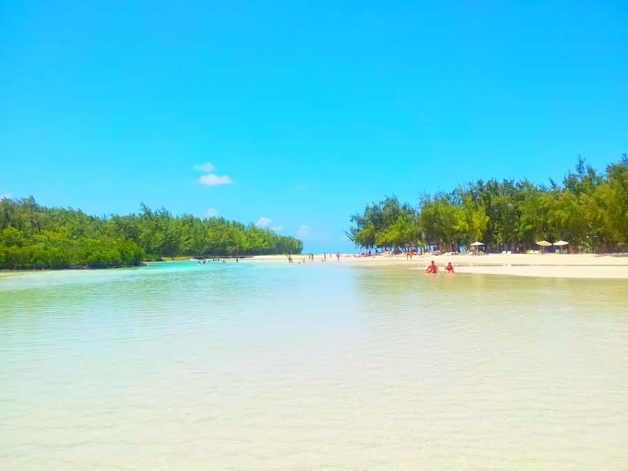Ile aux Cerfs Speedboat Trip & Transport: Private or Shared - Private or shared boat: which choice makes sense?