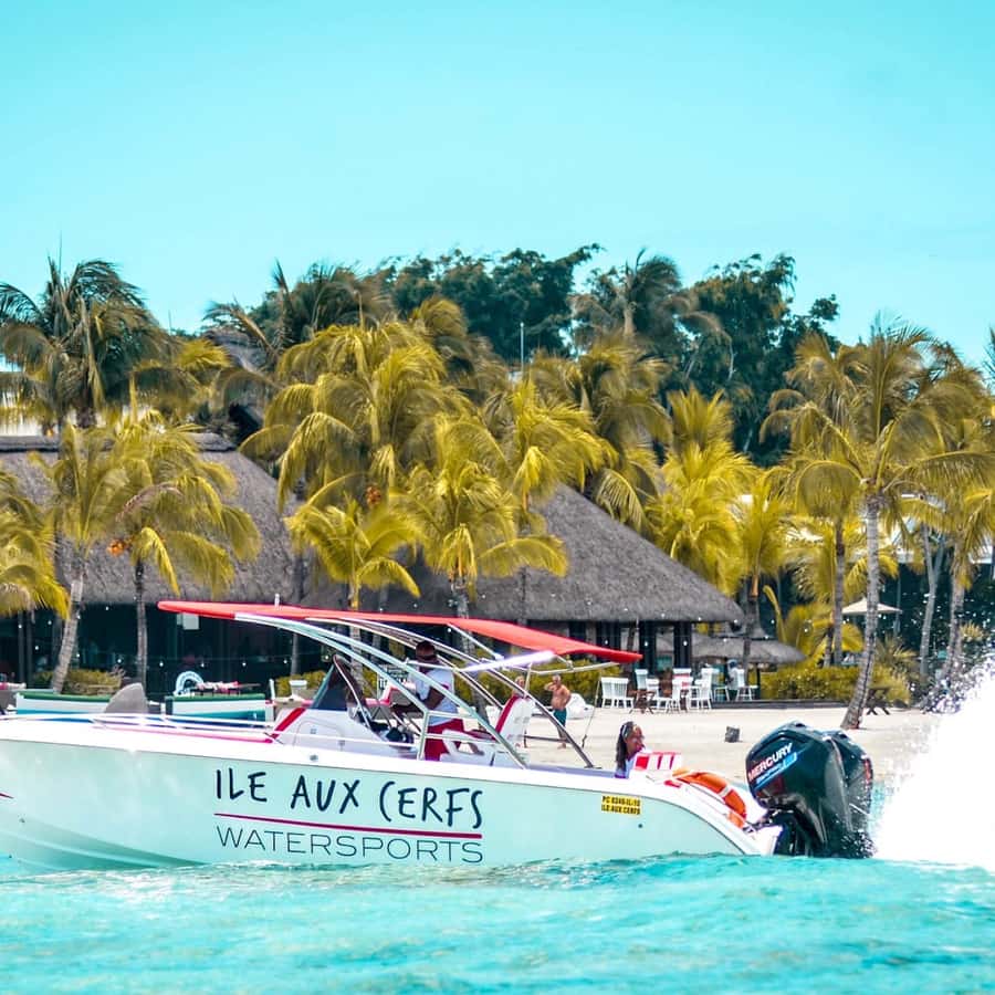 Ile aux Cerfs Speedboat Trip & Transport: Private or Shared - Practical details that shape the day
