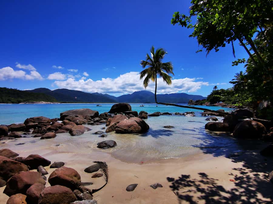 Ilha Grande: 360° Circumnavigation Speed Boat Tour - 8h - Key points to know before booking