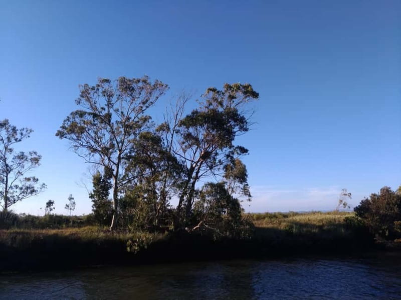 Industry or Nature Boat Tour | Speedboat - Seeing Aveiro from the floodgates outward