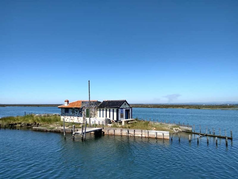 Industry or Nature Boat Tour | Speedboat - Praias da Ria is a practical starting point