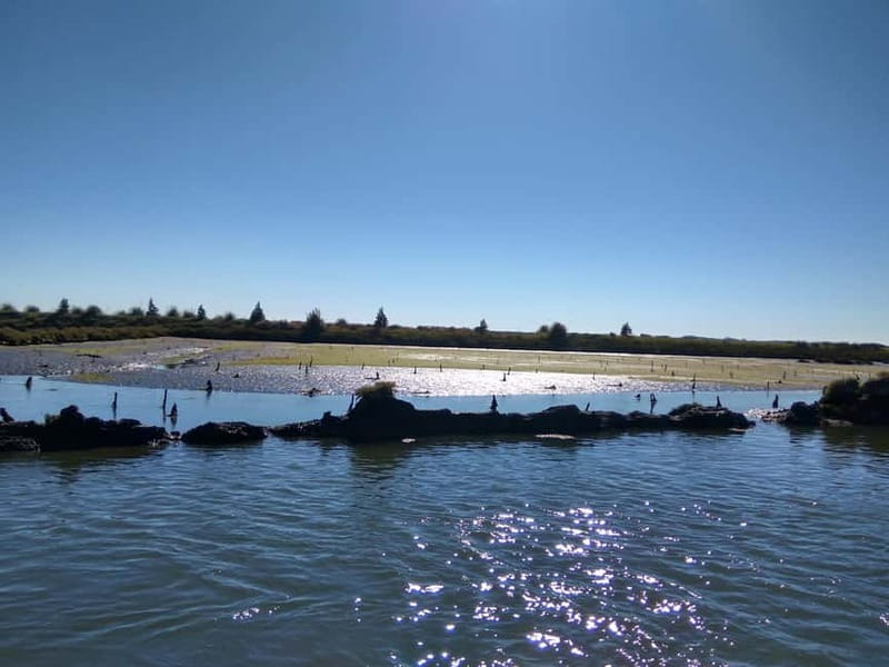 Industry or Nature Boat Tour | Speedboat - Choosing between Industry and Nature