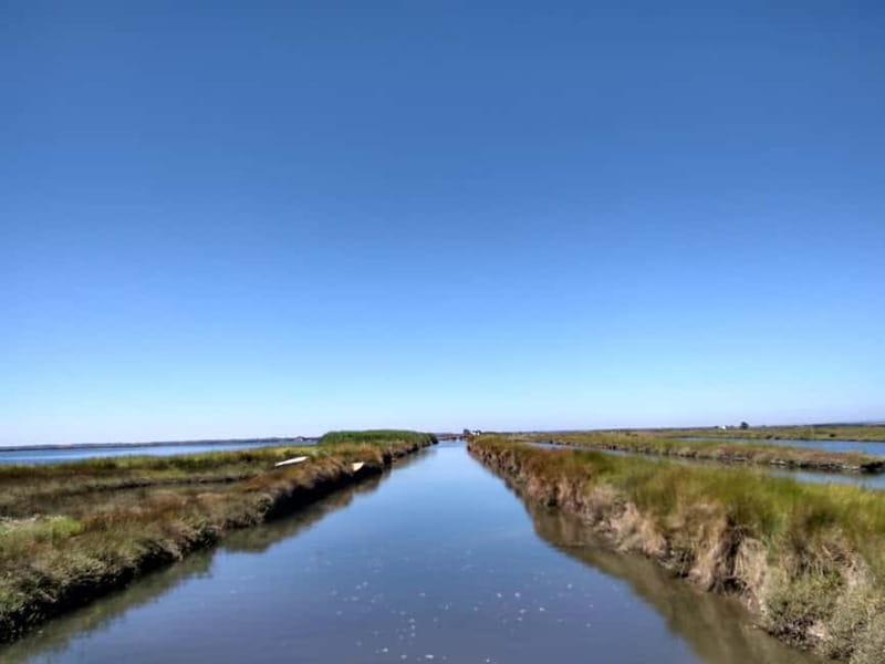 Industry or Nature Boat Tour | Speedboat - Passing through Aveiro’s locks