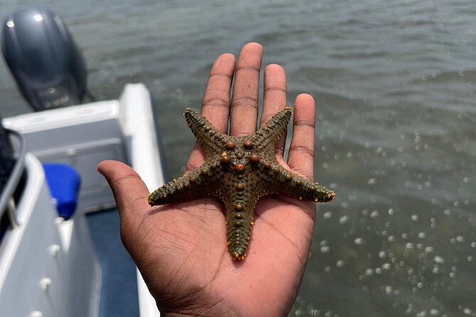 Island Escape day trip Speedboat Excursion in Maputo - Guides, communication, and the human side of the day