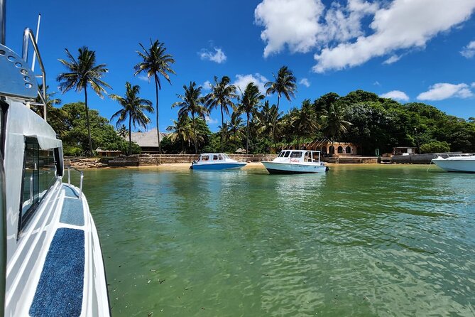 Island Escape day trip Speedboat Excursion in Maputo - Who will enjoy this island escape most