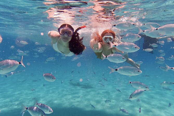 Island-Hopping, Swimming & Snorkeling SpeedBoat Tour from Zadar - Setting out from Obala kneza Branimira 20