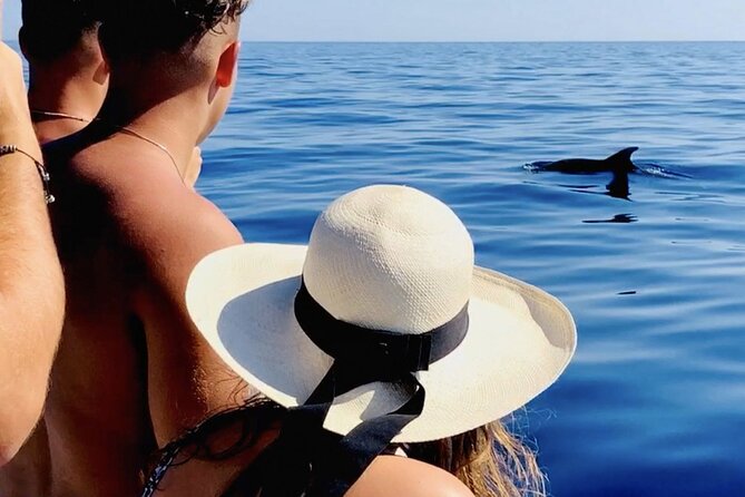 Island-Hopping, Swimming & Snorkeling SpeedBoat Tour from Zadar - Preko and Galevac: shallow beaches and a choice of pace