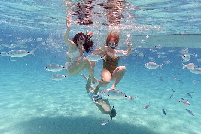 Island-Hopping, Swimming & Snorkeling SpeedBoat Tour from Zadar - Who will get the most from this outing