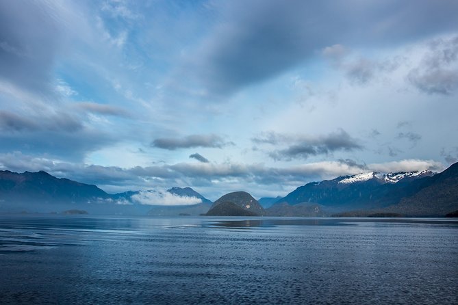 Jet Boat Journey through Fiordland National Park - Pure Wilderness - The short forest walk in Fiordland National Park