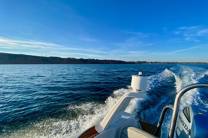 Jurassic Coast Rib Tour - Exmouth - Family appeal and the guide’s flexible pace