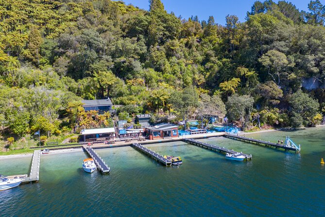 Katoa Jet Boat & Lake Rotoiti Hot Pools - The simple verdict: book it if you want contrast