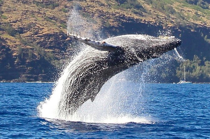 Kauai: Nā Pali Coast Zodiac Raft Expedition and Snorkeling - Sea caves are thrilling, but never guaranteed