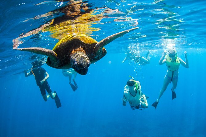 Kauai's Ultimate South Island Zodiac Boat Snorkel Adventure - Setting out from Poipu on a 25-foot Zodiac