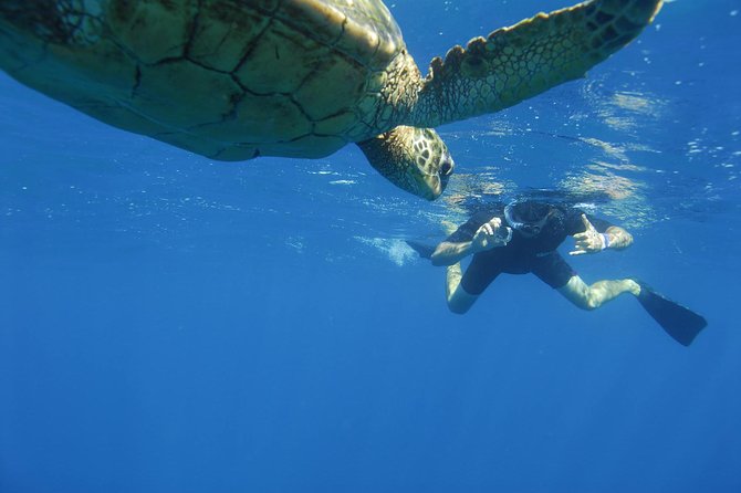 Kauai's Ultimate South Island Zodiac Boat Snorkel Adventure - What the $161.43 price really includes