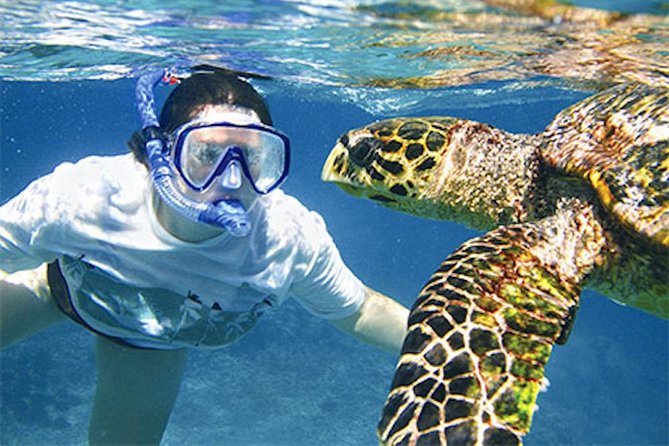 Kauai's Ultimate South Island Zodiac Boat Snorkel Adventure - Spouting Horn and the south-coast view
