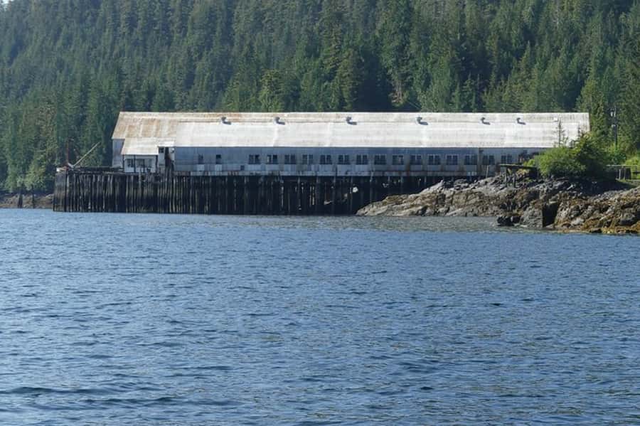 Ketchikan: Scenic Drive & George Inlet Fjords Zodiac Cruise - Timing, cruise connections, and practical limits
