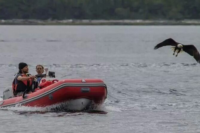 Ketchikan Zodiac Adventure - What driving the Zodiac is really like