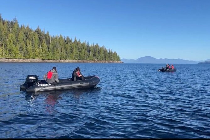 Ketchikan Zodiac Boat Adventure - What the guides add